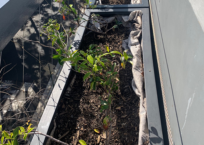 BMW Planter Boxes_3_ [700x500]
