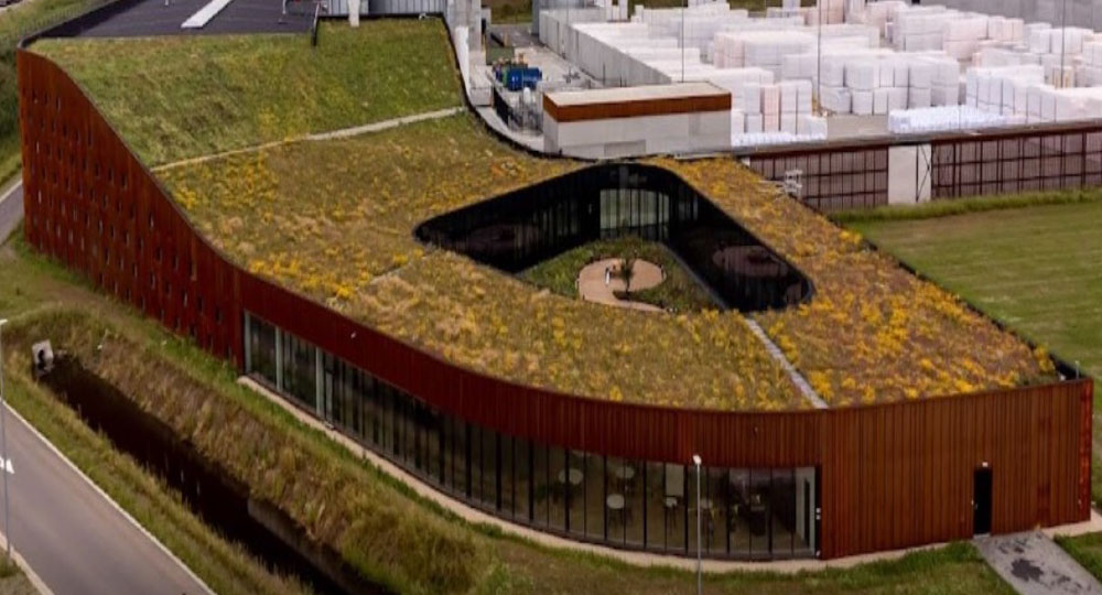 Green Roofs