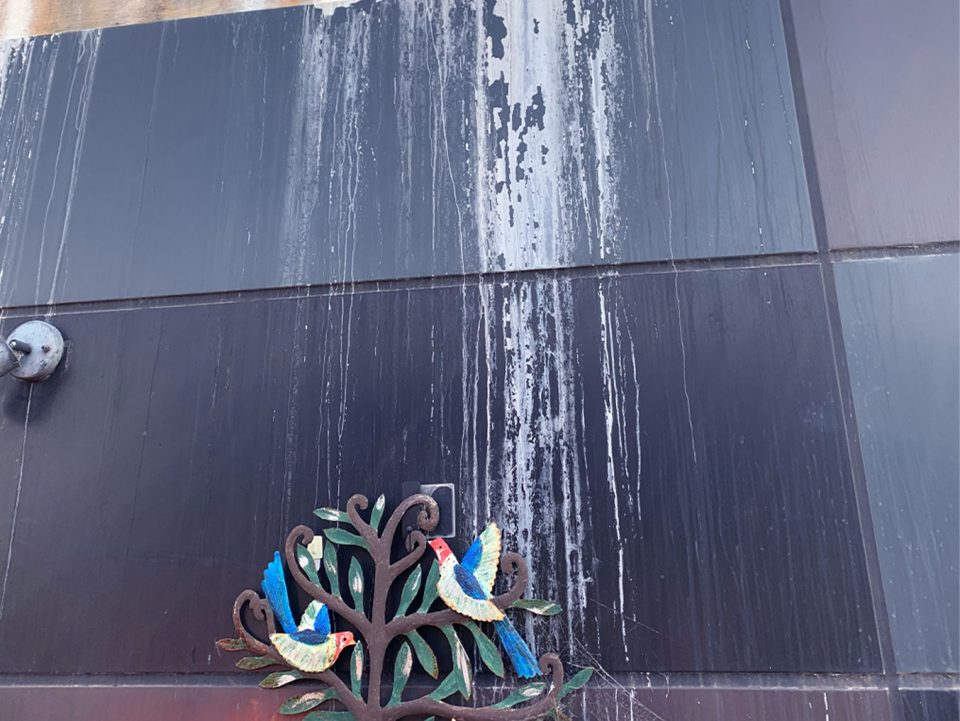 Technical Snapshot: Efflorescence on Concrete and Tile Surfaces